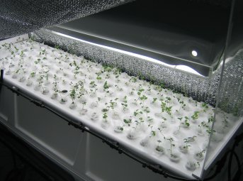 Aeroponic Chamber LAE - add-on